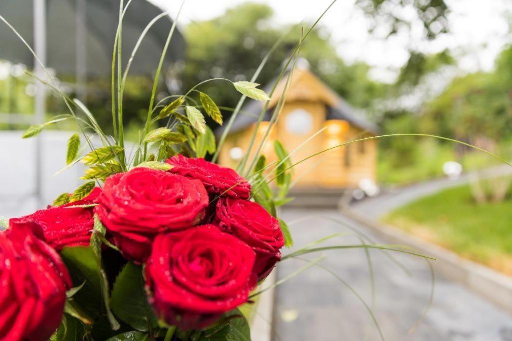 Chalet Vitaspa - Whirlpool & Sauna Privatspa Пегниц Екстериор снимка